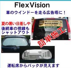 FlexVision