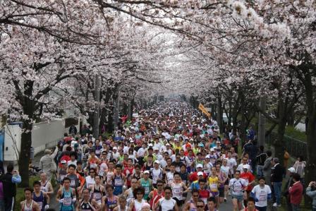 地域の皆様と共に ①
幸手市さくらマラソン